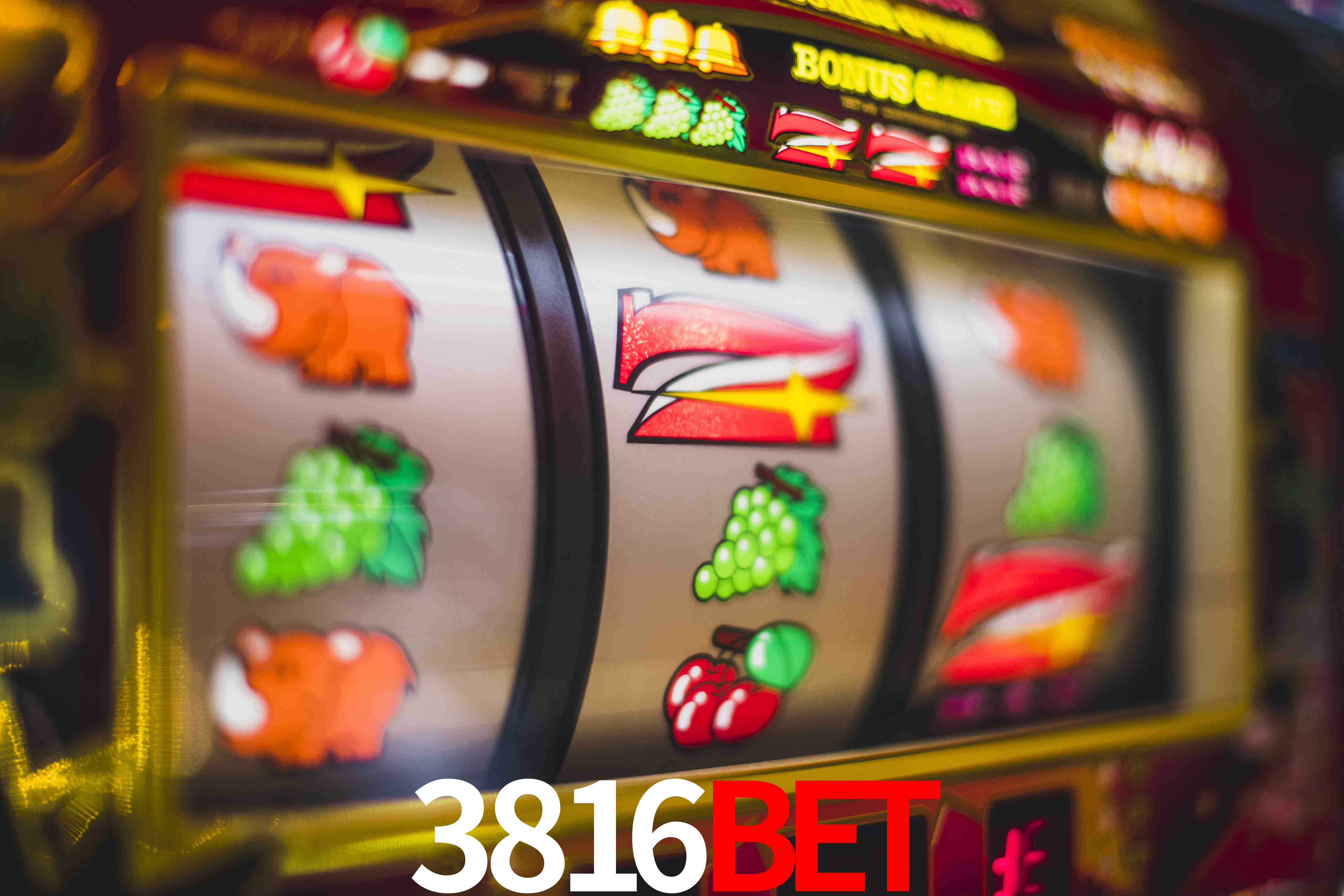 Experiência VIP 3816bet